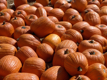 Pumpkins